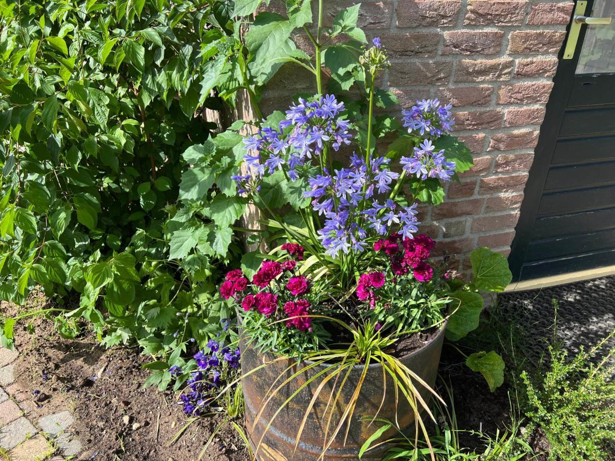 Supergezellig Vakantiehuis Met Hele Grote Tuin Bij Nijmegen Ewijk Extérieur photo