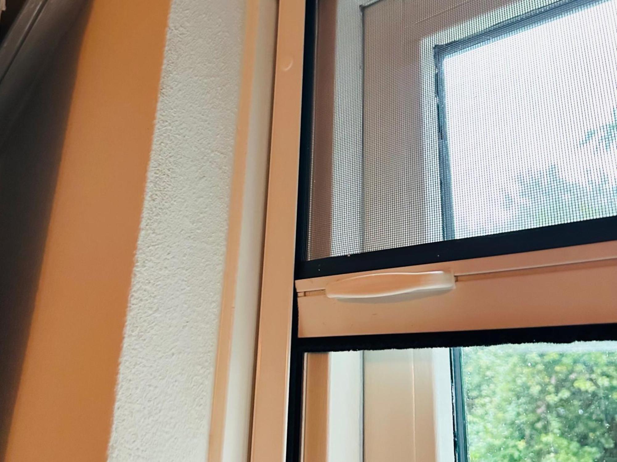 Supergezellig Vakantiehuis Met Hele Grote Tuin Bij Nijmegen Ewijk Extérieur photo
